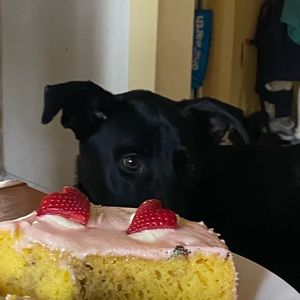 Meet your Posher, Raneen